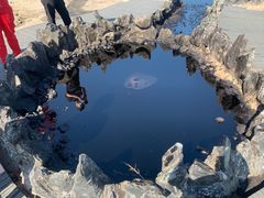 -黑油山景区