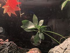 -上海海洋水族馆