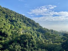-火炉山森林公园