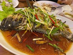 清蒸老虎斑-拉威海鲜市场