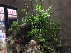 -渔寿司·日本料理(艾尚天地店)