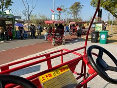 -上海长兴岛郊野公园