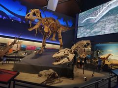 咖喱牛腩-贝林大翅鲸简餐厅(国家海洋博物馆店)