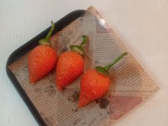 -鹭园酒家·四十年老字号