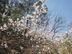 -鹫峰国家森林公园