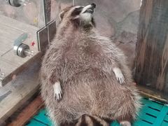 -珠海海泉湾神秘岛亲子乐园