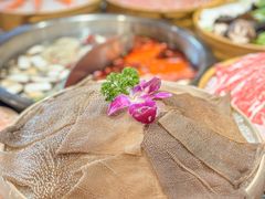 -渝味晓宇火锅(合川路店)