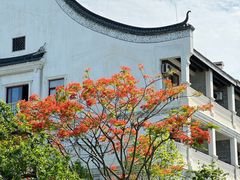 -赤坎·广东华侨国际旅游度假区