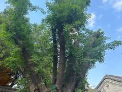 -西安市广仁寺