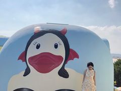 -漳州滨海火山岛自然生态风景区