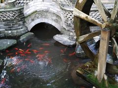 -四方小吃·白族庭院餐厅