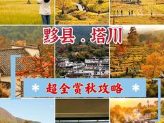 -塔川景区