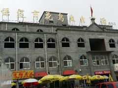 -保定市花鸟鱼虫市场