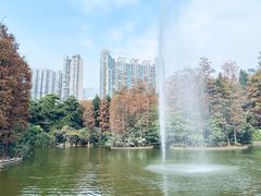 -广州珠江公园
