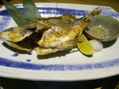 -綱元·海鲜豆捞(明州里店)