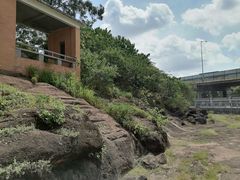 -广州七星岗古海岸遗址科学公园