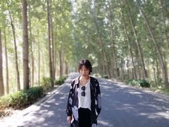 -白洋淀景区