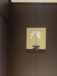 -CRAIE可瑞医美式医美·111SKIN