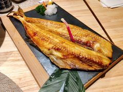 烤六线鱼-琴寿司居酒屋(中山广场店)