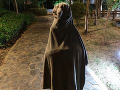 -洪湖悦兮半岛国际温泉度假村