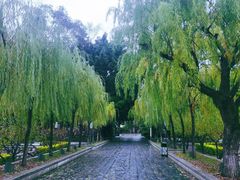 -西湖公园(鼓楼区)