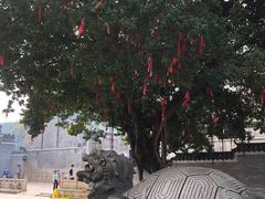 -悦城龙母祖庙