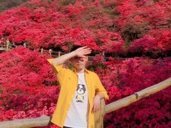 -木兰云雾山