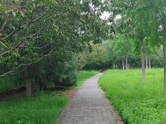 -永定河休闲森林公园