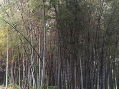 -上海市保健医疗中心(华东疗养院)