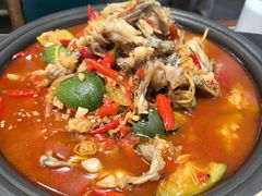 仔姜鲜椒蛙-情妹耙泥鳅·江湖川菜(科华店)