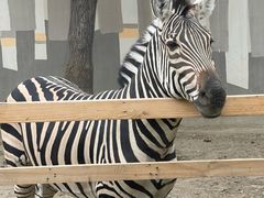 -水上乐园·欢乐世界