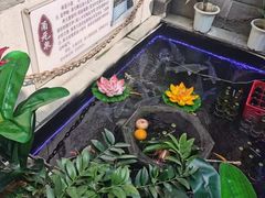 -燕喜堂·中华老字号(大明湖店)
