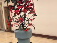 -顺峰(阜成店)