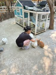 -268童话露营营地·烧烤·团建