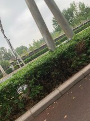 -HEYAN长风荷妍专业脱毛美肤
