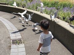 -墨尔本皇家植物园