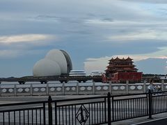 -野狸岛