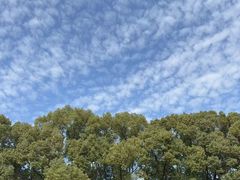 -上海虹桥迎宾馆