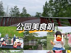 -王借岗森林公园