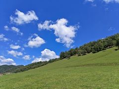 -关山草原