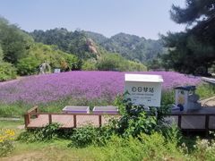 -云峰山自然风景区