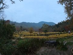 -塔川景区