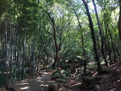 -宝岩生态观光园