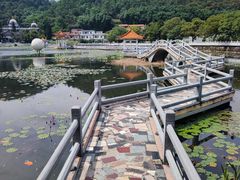-红山村