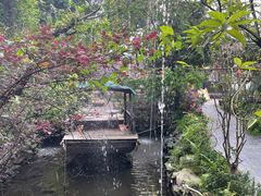 -花溪雨·森林餐厅(石基店)