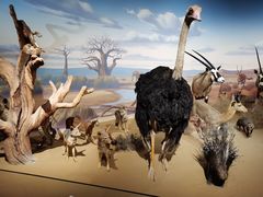 -陕西自然博物馆