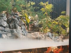 -舟小鲜·舟山小渔村(凤城四路中登广场店)