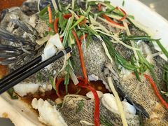 -众味海鲜大排档·活海鲜·潮汕味(南澳店)