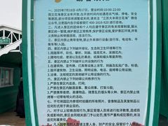 -荷兰花海