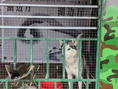 -荔枝红五号农庄